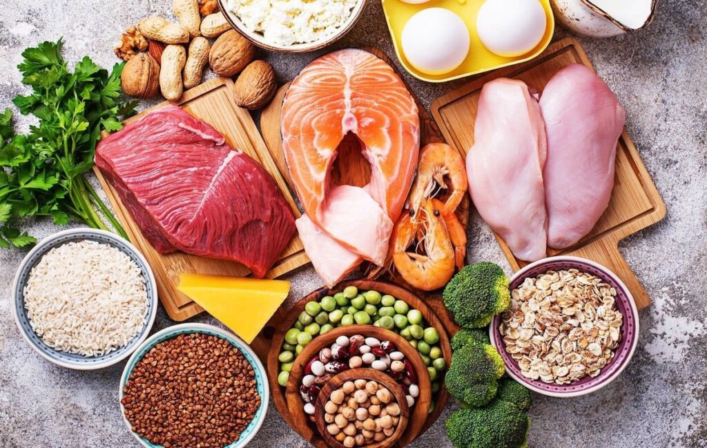 مواد غذایی پروتئینی