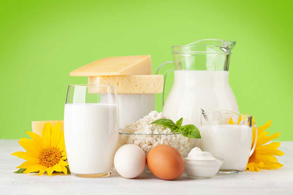 مواد غذایی پروتئینی