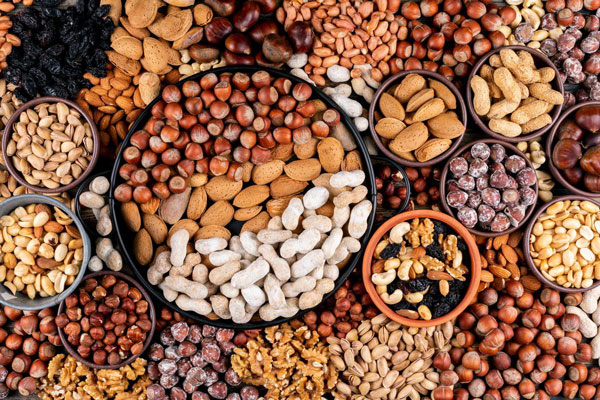 مغر و دانه های مقوی